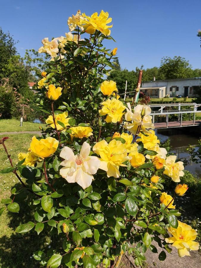 Le Cottage Des Hortillonnages Amiens Exteriér fotografie